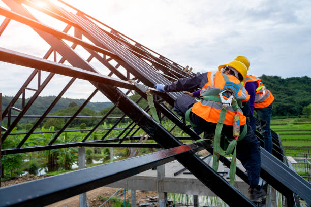Best Storm Damage Roof Repair  in Collegedale, TN