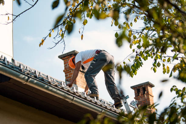 Best Commercial Roofing Services  in Collegedale, TN