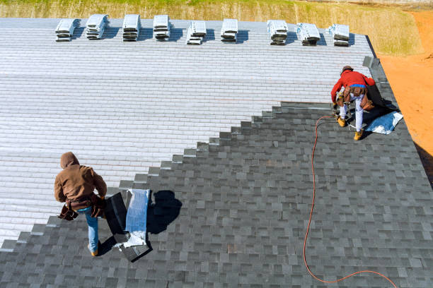 Best Gutter Installation and Roofing  in Collegedale, TN