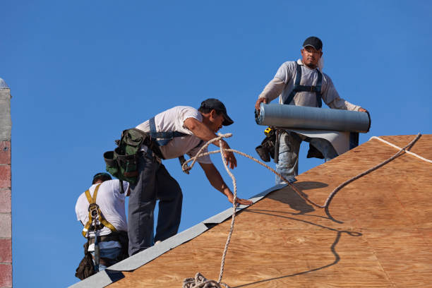 Best Commercial Roofing Services  in Collegedale, TN