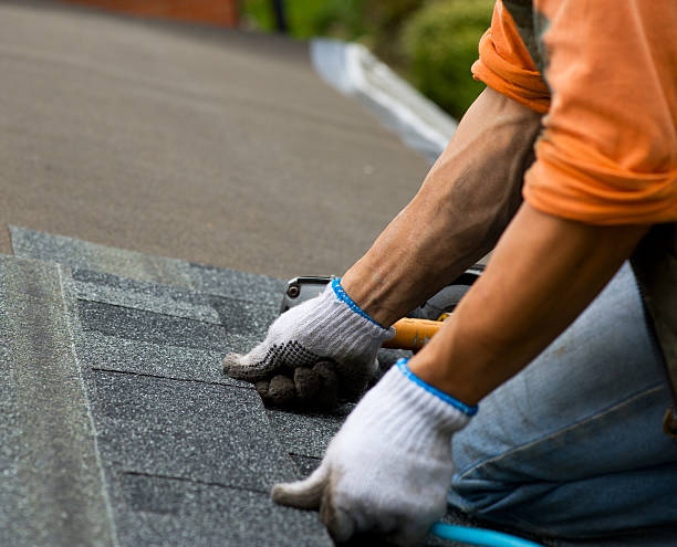 Best Roof Leak Repair  in Collegedale, TN